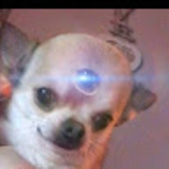 Meet your Posher, Katie - Picture 1 of 1